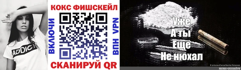 blacksprut как зайти  Сальск  Кокаин Эквадор 