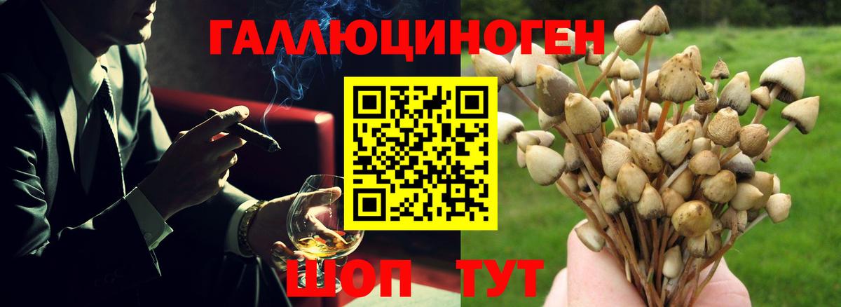 Псилоцибиновые грибы MAGIC MUSHROOMS Сальск